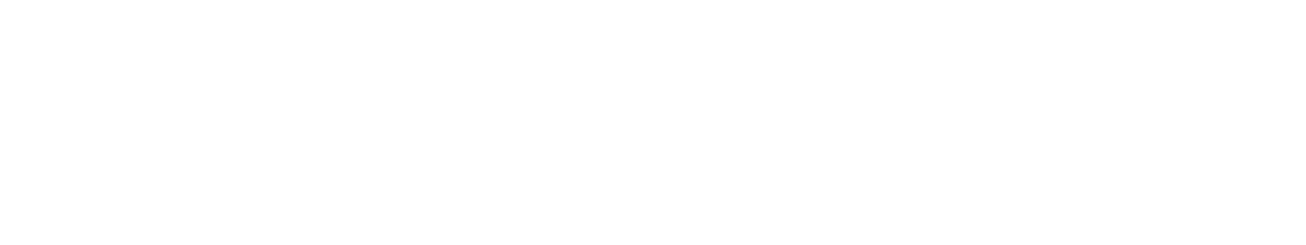 Logo NobleChairs